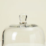 FLORENCE MINI CLOCHE SET OF 2